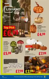Lidl leaflet week 37 Page 16: Livarno Cushion €7,99, Livarno led toadstool decoration €5,99