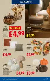Lidl leaflet week 37 Page 17: Livarno cushion €4,49, Livarno autumnal decoration €5,99
