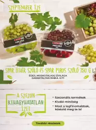 Spar akciós újság hét 36 Oldal 14
