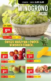 Biedronka gazetka tydzień 36 Strona 29