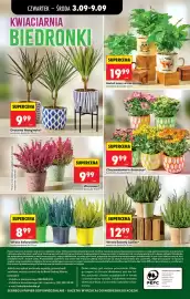 Biedronka gazetka tydzień 36 Strona 75
