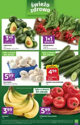 Stokrotka Express gazetka (ważność do 9-09)