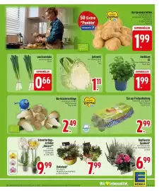 Edeka DE folder week 36 Pagina 5