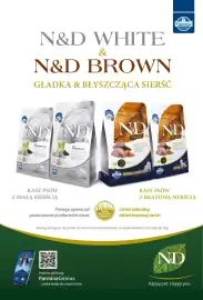 AquaelZOO gazetka Strona 11