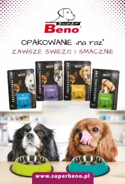 AquaelZOO gazetka Strona 12
