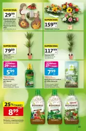 Auchan gazetka tydzień 36 Strona 15