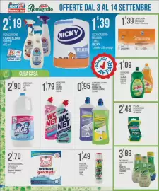 Volantino Iper Romagnolo Pagina 18: Spugna in microfibra Flex & Wash Spontex €2,49