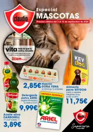 Folleto Claudio Página 1: Doña yema - huevos €2,85, Ariel - detergente polvo €9,99