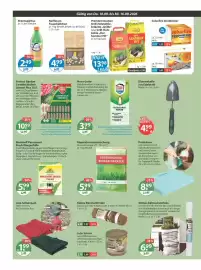 V Markt Prospekt woche 37 Seite 16