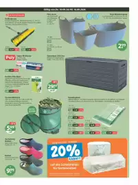 V Markt Prospekt woche 37 Seite 17