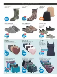 V Markt Prospekt woche 37 Seite 22