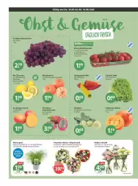 V Markt Prospekt woche 37 Seite 4