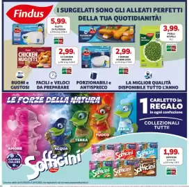 Volantino Basko Pagina 12