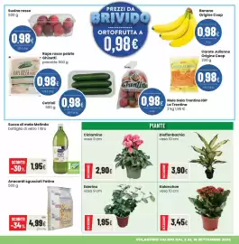 Volantino Coop Master Alleanza 3.0 Pagina 5