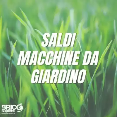 Brico Sapiens (valido fino al 13-09)