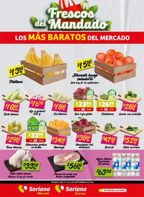 Folleto Soriana Express