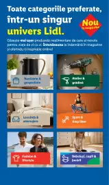 Catalog Lidl Pagină 1