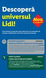 Catalog Lidl Pagină 2