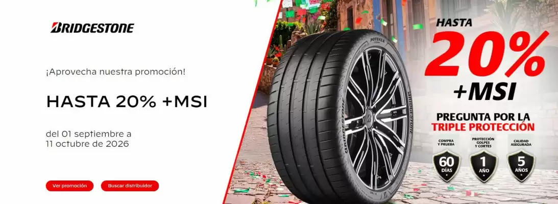 Bridgestone (válido hasta 11-10)