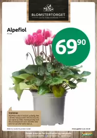 Joker kundeavis Side 9: Alpefiol €69,90