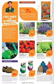 Catalogue Point Vert page 2: GENTO OU CHARLOTTE Fraisiers €4,75, SÉLECTION DE VIVACES ET GRAMINÉES €7,50