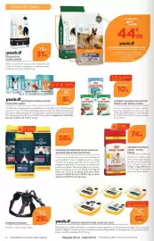 Catalogue Point Vert page 6: Royal Canin Aliment humide mini adulte pour chien €10,95, Yock BÂTONNETS DENTAL STICKS €5,21