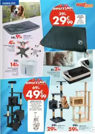 Catalogue La Foir'Fouille page 21: ARBRE À CHAT XXL €49,99, ARBRE À CHAT €59,99
