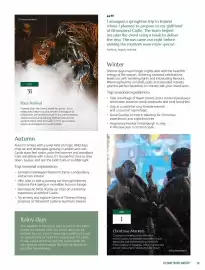 Flight Centre brochure Page 13