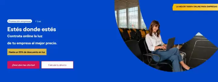 Folleto ENDESA Página 3