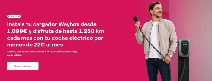 Folleto ENDESA Página 6
