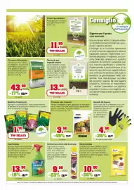 Volantino TuttoGiardino Pagina 2: Protex Stocker €3,90, Schiuma contro nidi di vespa Zapi €9,90