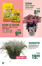 GroenRijk folder week 36 Pagina 4