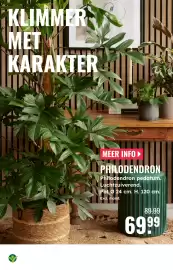 GroenRijk folder week 36 Pagina 8