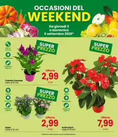 Volantino Eurospar Pagina 3: Aster €2,99, Celosia Caracas €2,99