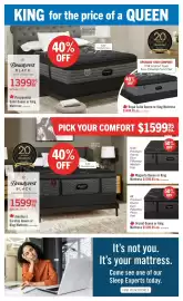 The Brick flyer Page 3