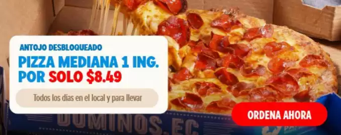 Catálogo Domino's Pizza Página 2