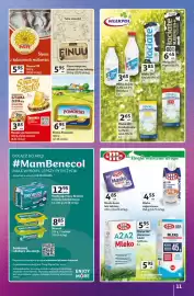 Auchan gazetka tydzień 36 Strona 11: Słynne MR €5,95, Mleko zagęszczone €4,55