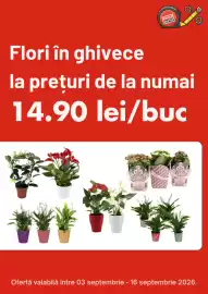 Catalog Brico Depôt Pagină 1