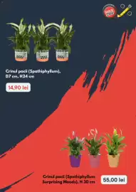 Catalog Brico Depôt Pagină 2