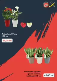 Catalog Brico Depôt Pagină 3