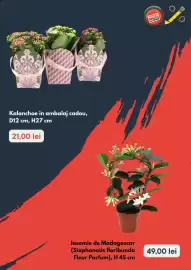 Catalog Brico Depôt Pagină 4