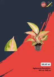 Catalog Brico Depôt Pagină 5