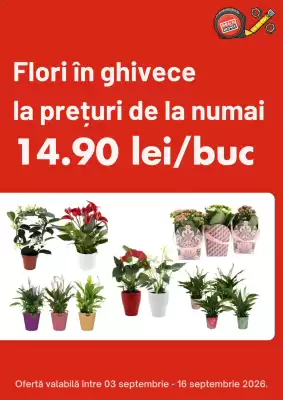 Brico Depôt (valid până la 16-09)