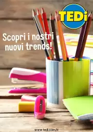 Volantino Tedi Pagina 1