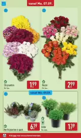 ALDI folder week 37 Pagina 34