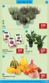 ALDI folder week 37 Pagina 35