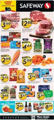 Safeway (valid until 9-09)
