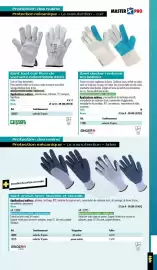 Catalogue Master Pro page 451