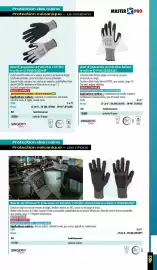 Catalogue Master Pro page 455