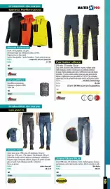 Catalogue Master Pro page 461
